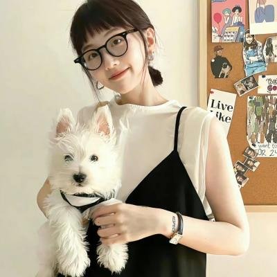 聪明的一休之反斗公主